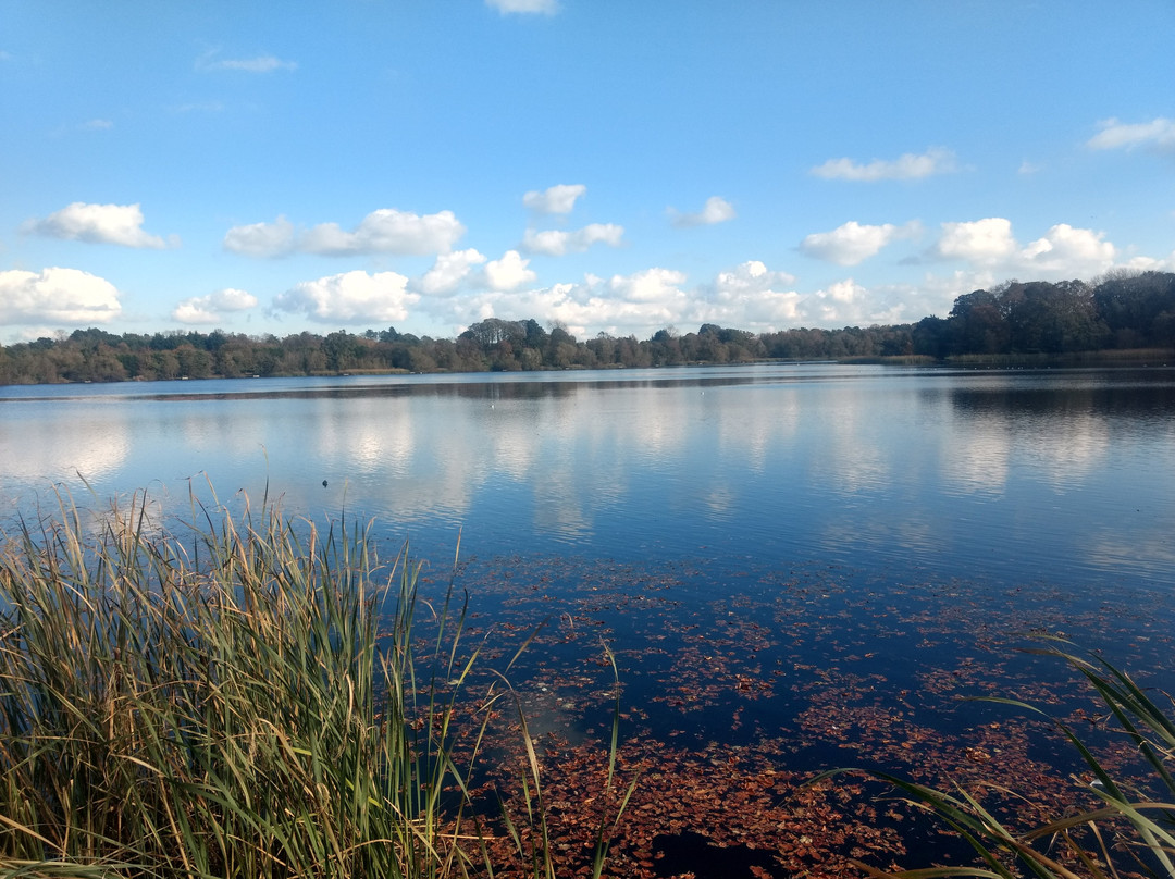 Lurgan Park景点图片