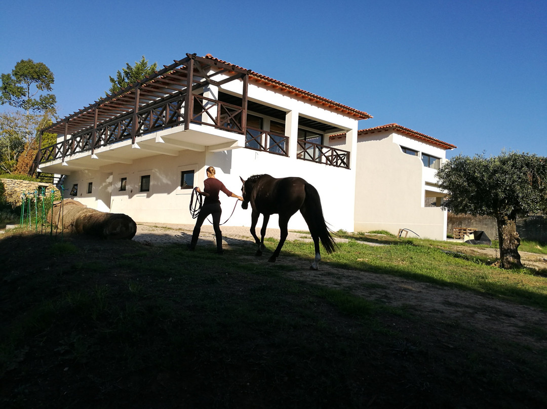 Horse Riding Center Picadeiro d'Arrábida景点图片