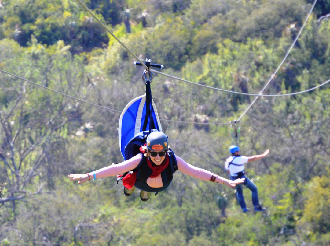 Adrenalin Addo Adventure Park景点图片