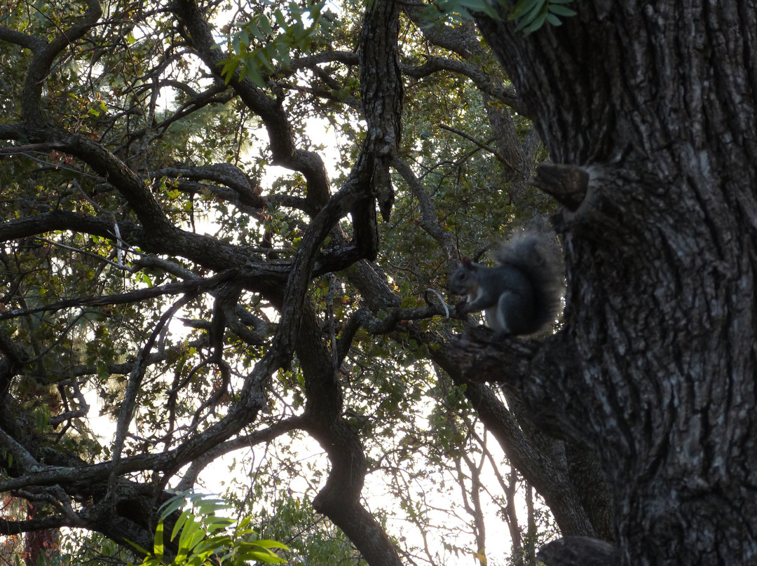 Alamo Creek Bike Trail-瓦卡维尔必去景点