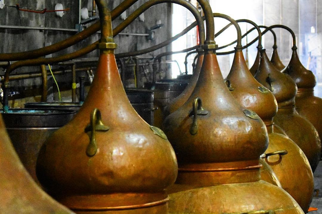 English Spirit Distillery景点图片