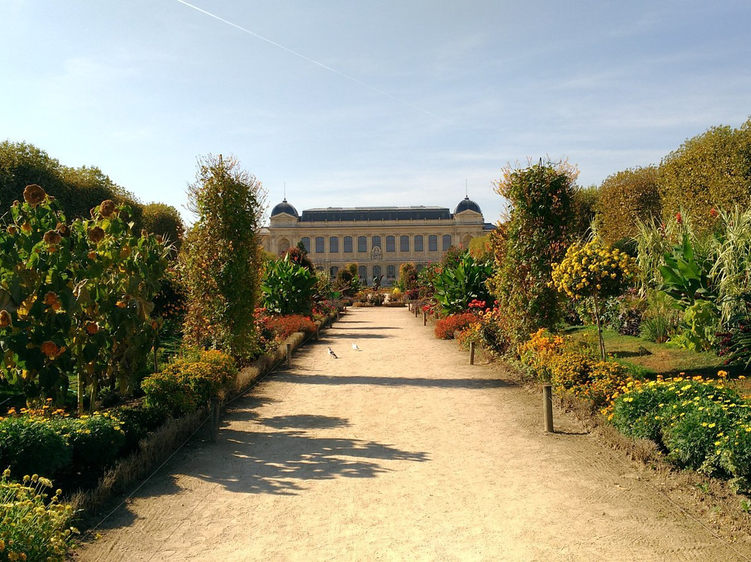 巴黎植物园景点图片