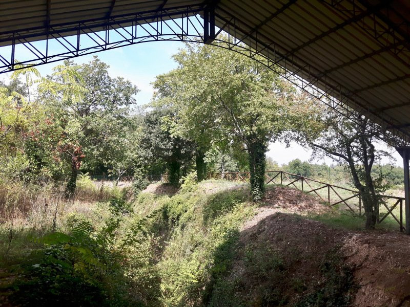 Area archeologica di Conelle di Arcevia景点图片