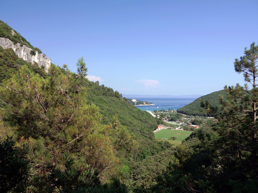 Sentona's Trail