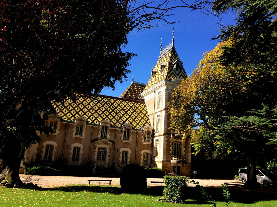 Savigny-les-Beaune旅游攻略图片