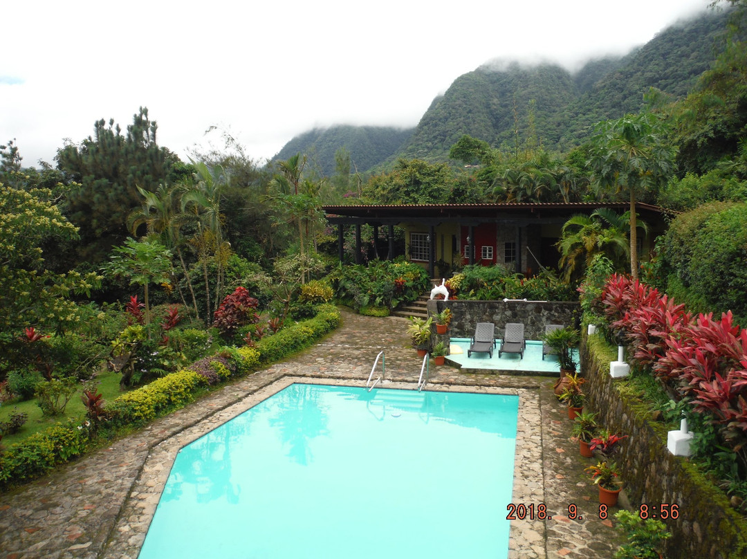 The Golden Frog Inn主图