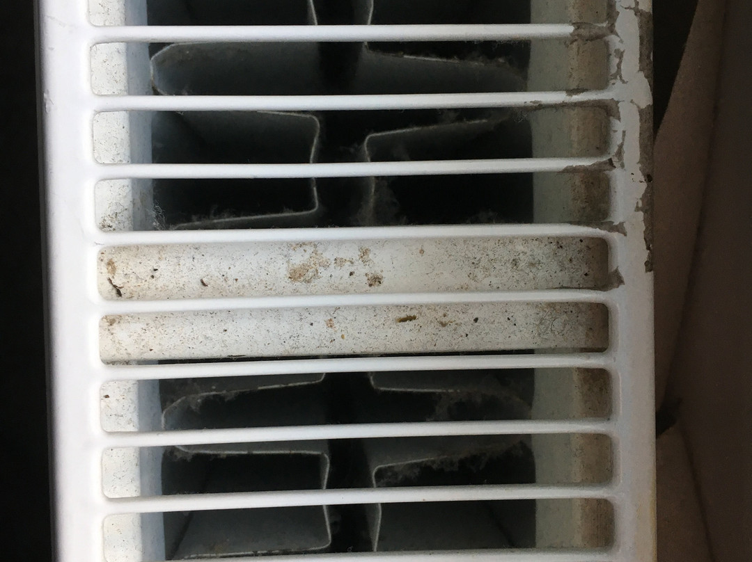 No.1 Charlotte Street主图