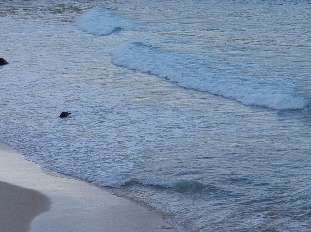 Playa de la Ballota景点图片