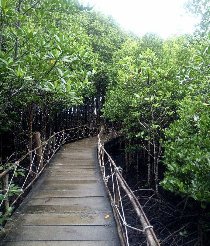 Black Sand Beach-廉愚必去景点