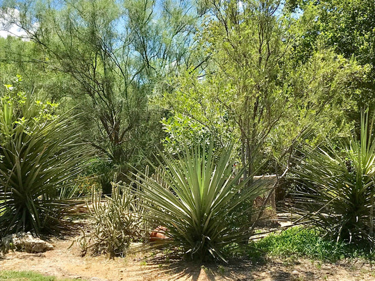 Garden of Eden-Eden必去景点