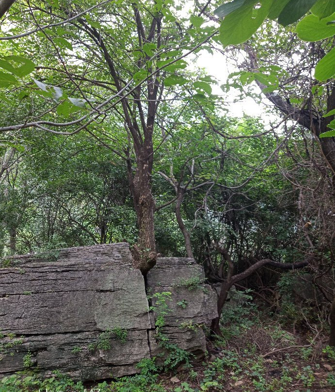 太行山大峡谷-长治市必去景点