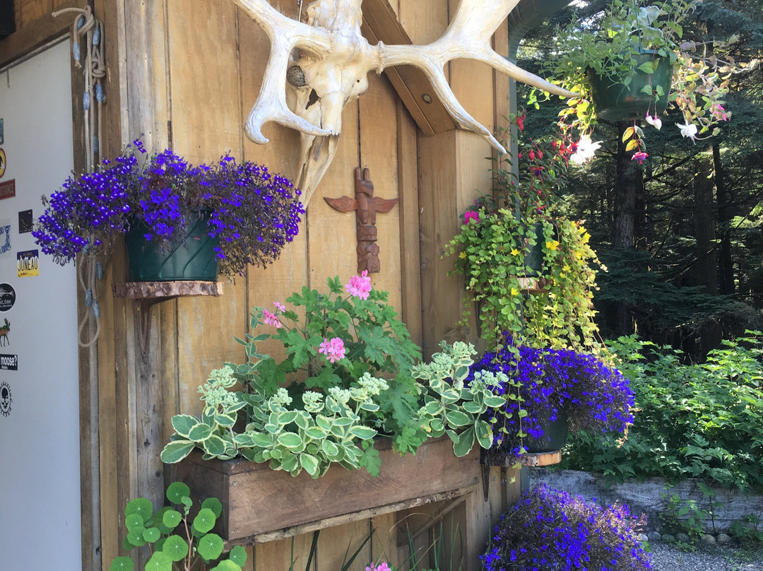 Juneau Rainforest Garden-朱诺必去景点