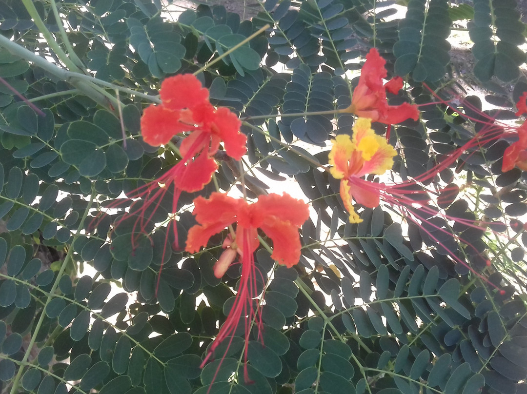 Turu Ba Ri Tropical Park-圣何塞省必去景点