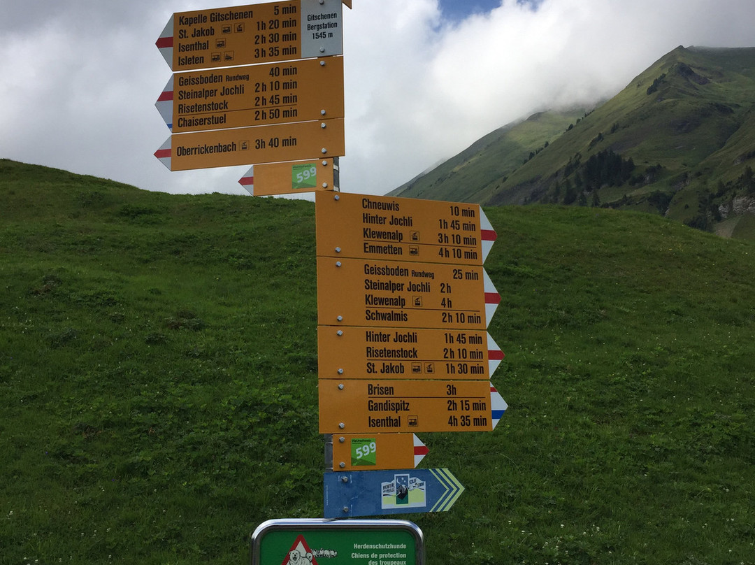 Berggasthaus Gitschenen主图