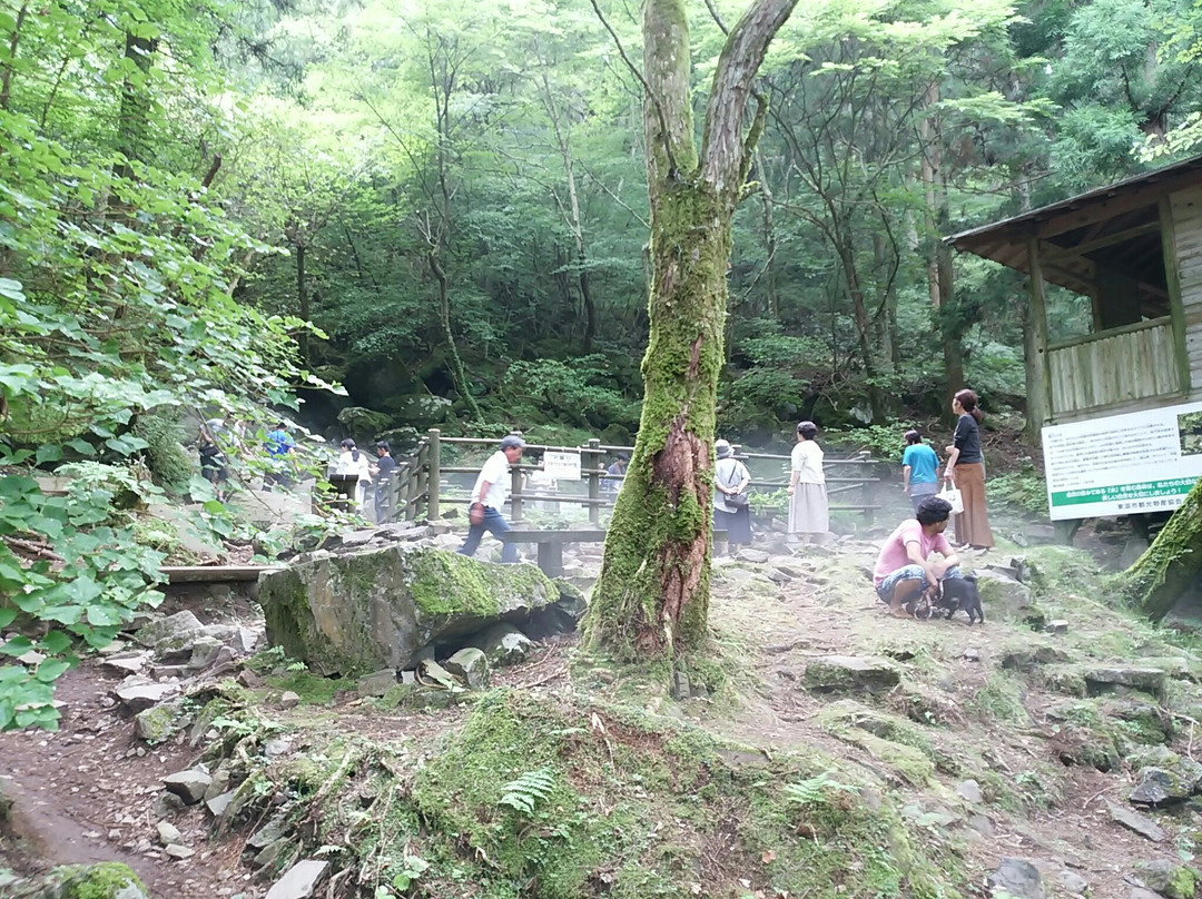 Kazaana - Kamihayashi Forest Park-东温市必去景点