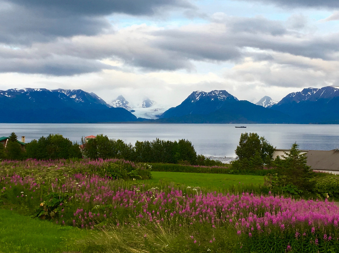 Halibut Cove酒店住宿-Anglers Roost