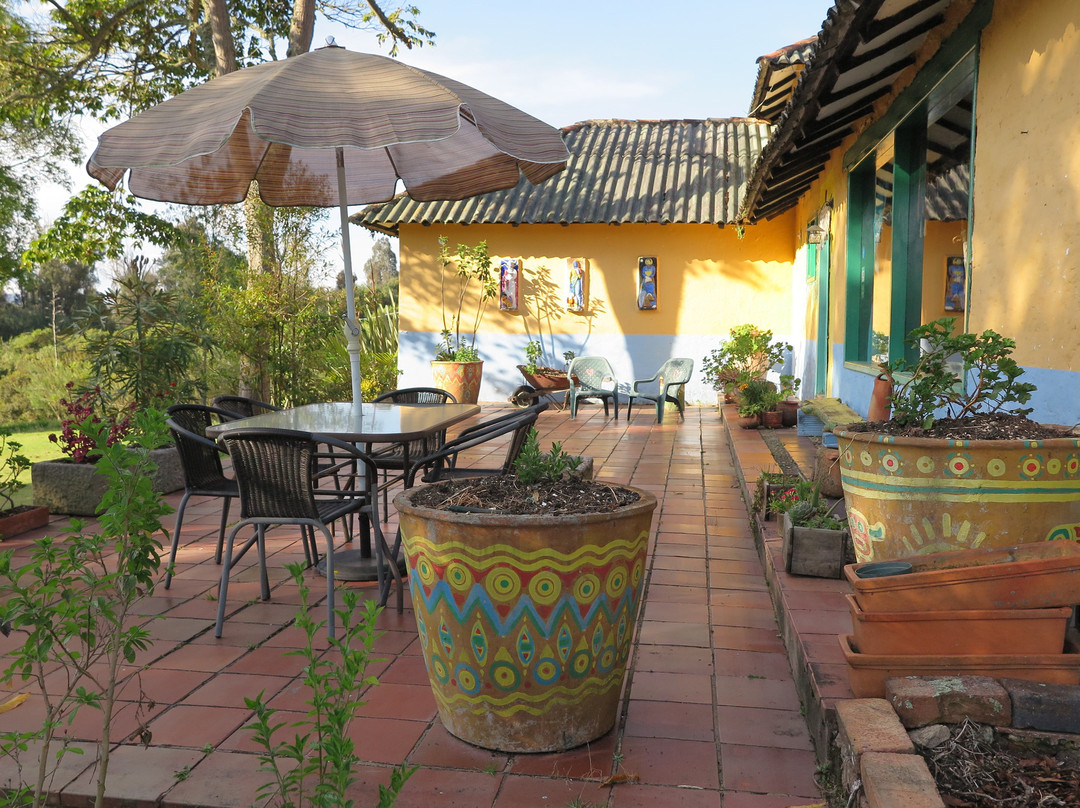 La Juanita Finca Verde主图