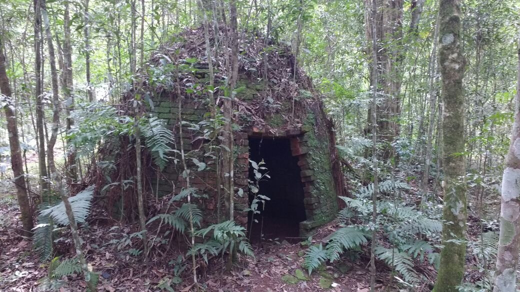 Parque Estadual das Araucárias景点图片