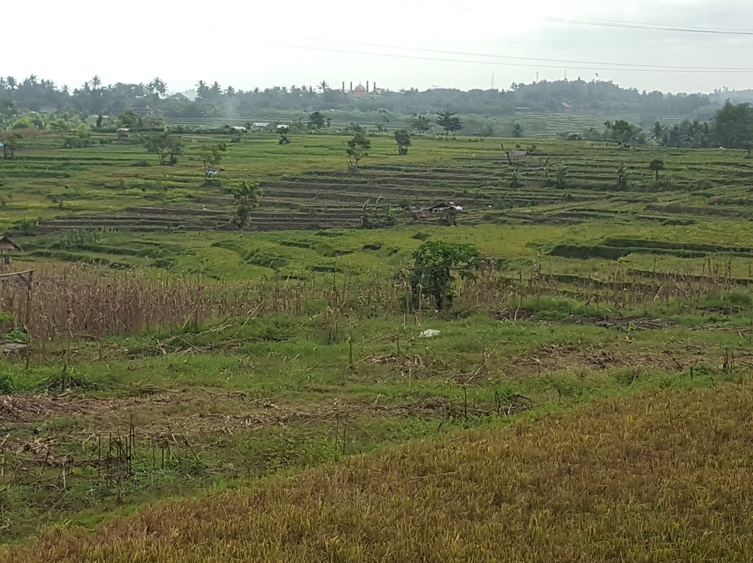 Medewi Sunset Terrace主图