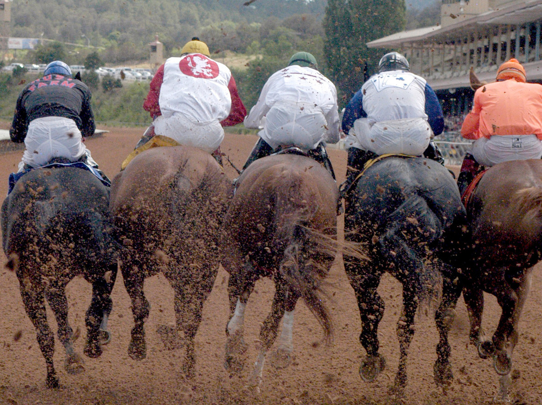 Ruidoso Downs Race Track景点图片