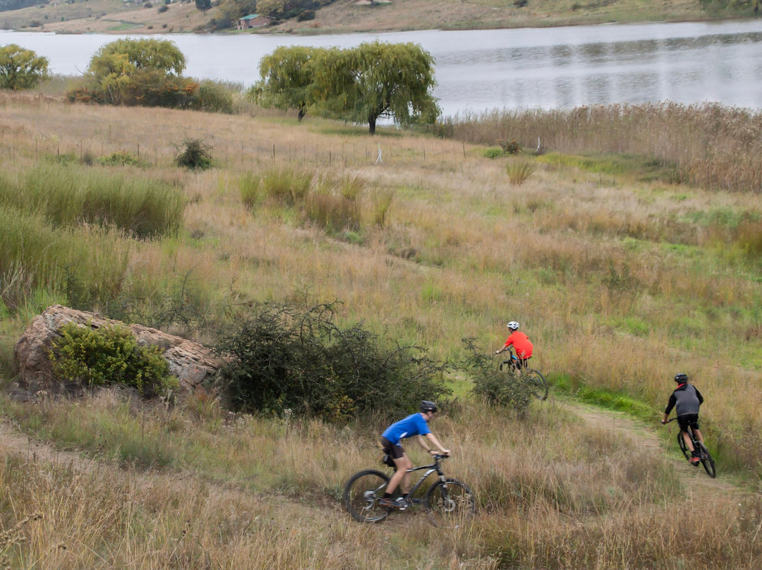 Petronella Guest House主图