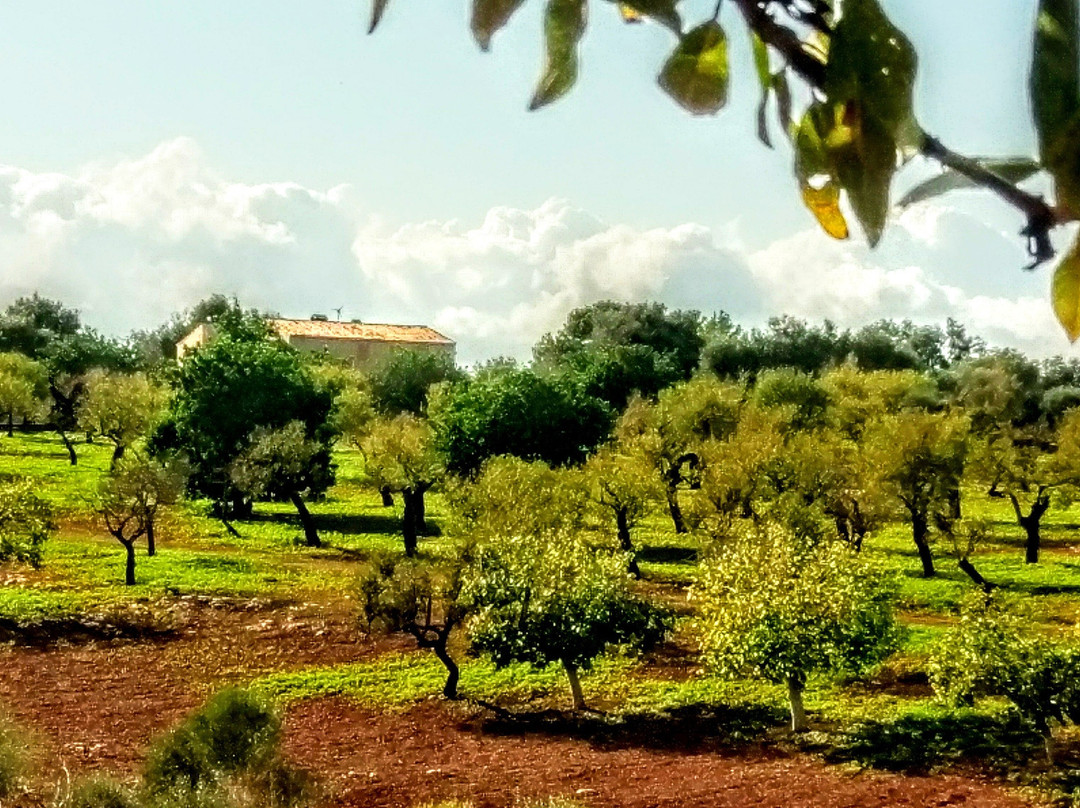 Rancho Cala Mandia-Cala Mandia必去景点