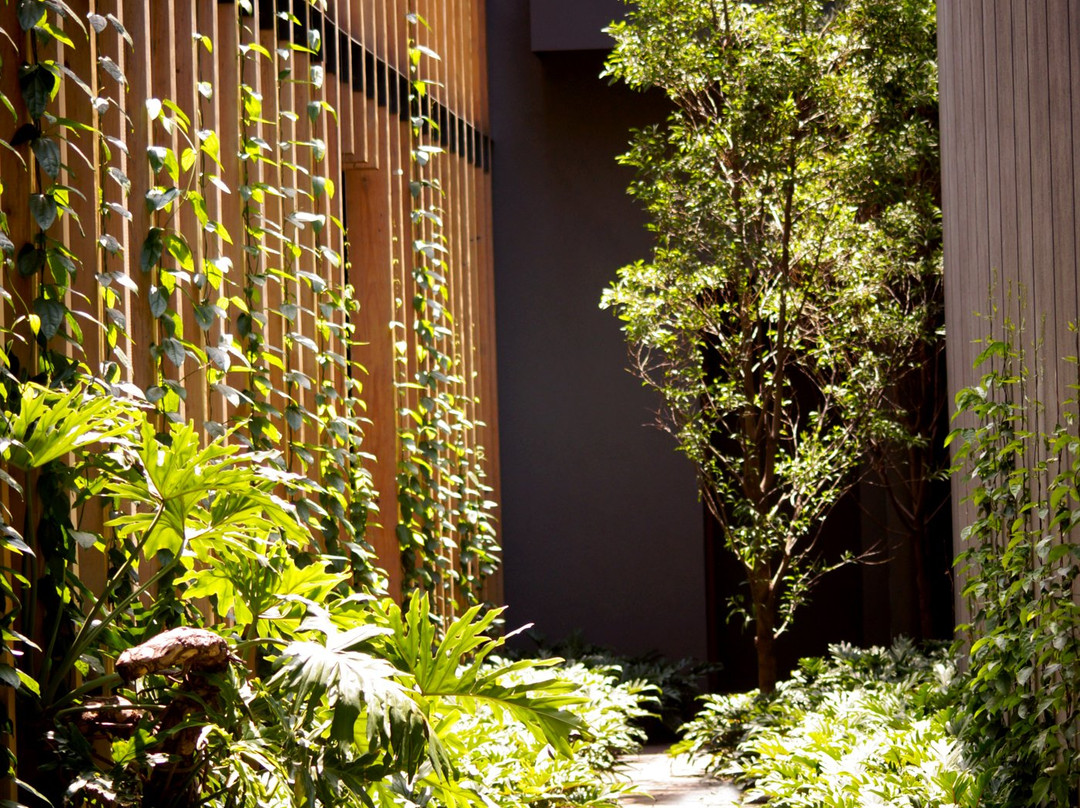 Cinco Rodavento主图