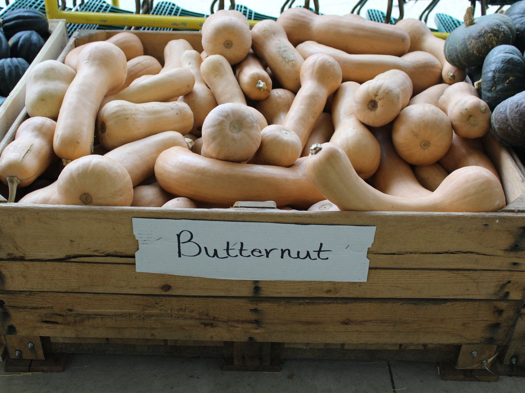 Pearce's Farm Stand-Walworth必去景点