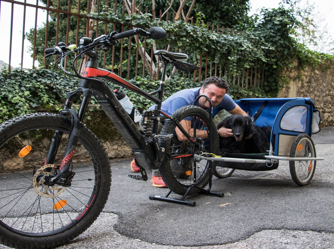 B&B Altaneto22主图