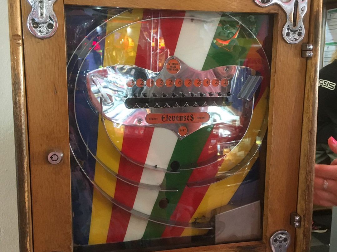 Oasis Amusements景点图片