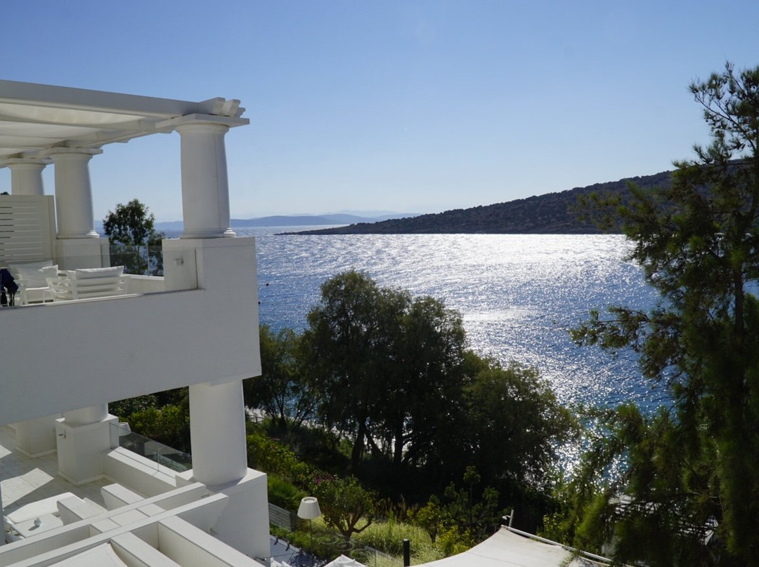Il Riccio Beach House主图