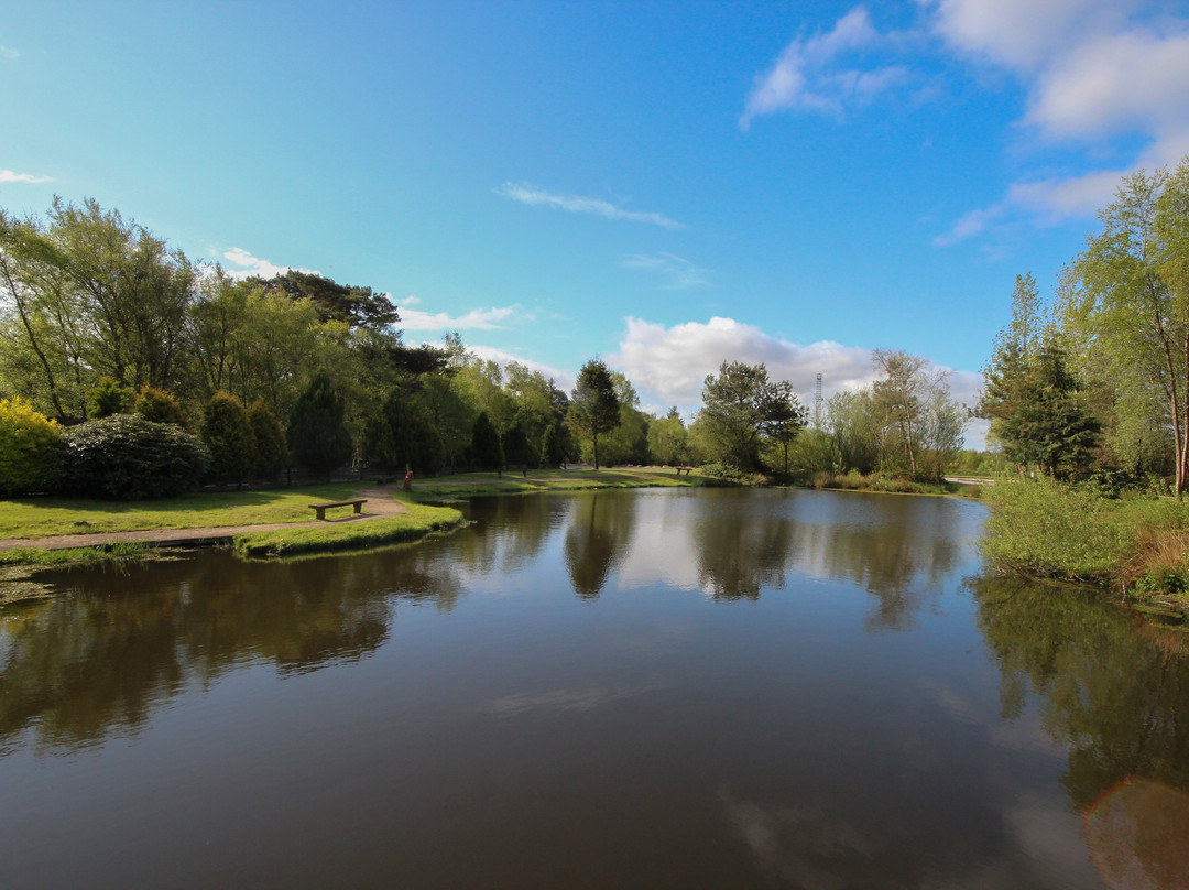 Westlands Country Park景点图片