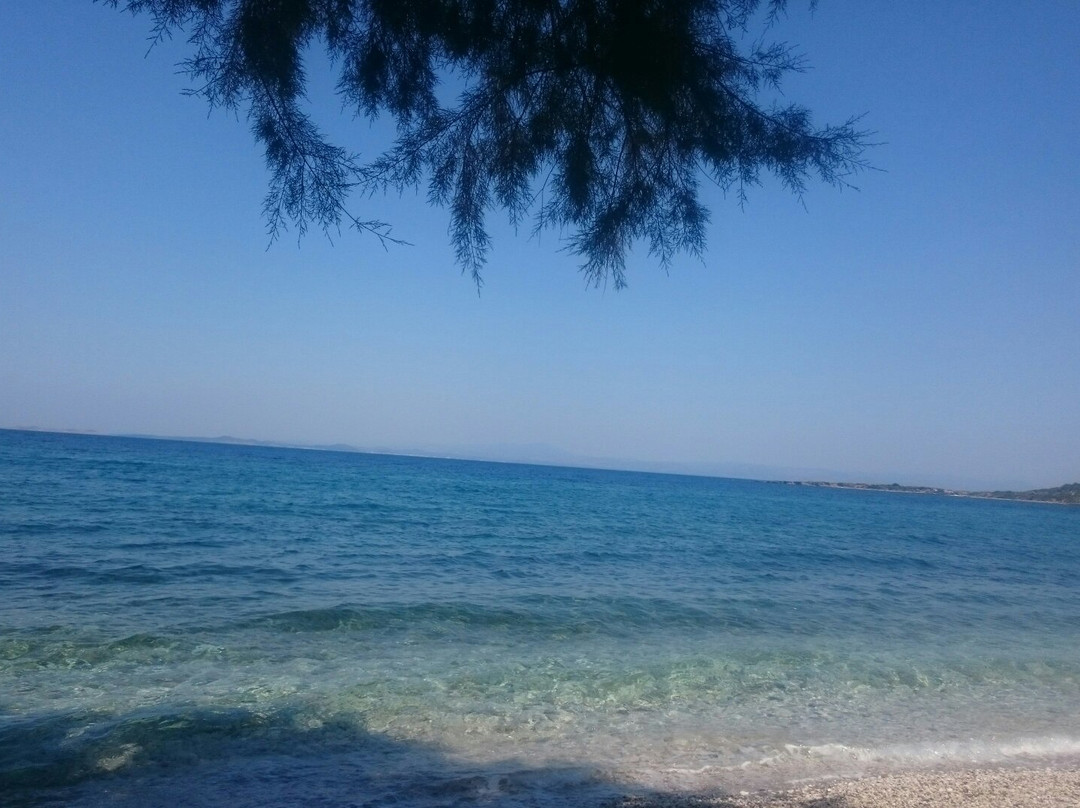 姆塞斯9号公寓主图