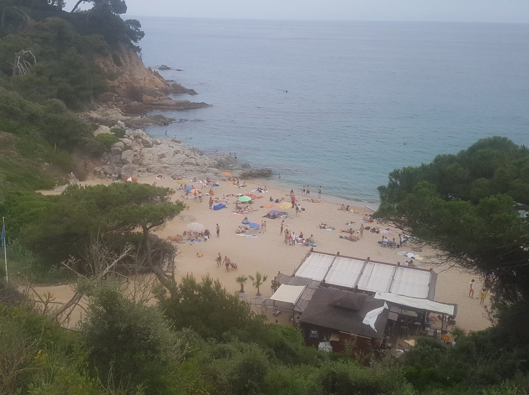 Playa Cala Sa Boadella景点图片