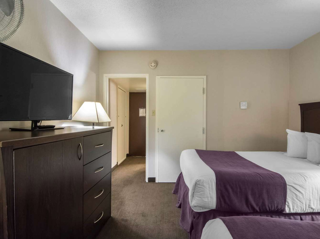 耶洛奈夫旅馆主图