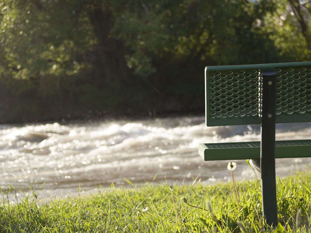 Super 8 by Wyndham Salmon主图