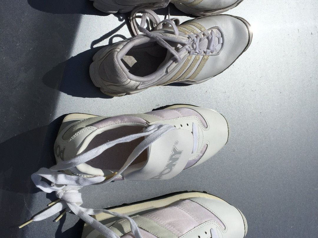 Shoe Tree-Fallon必去景点