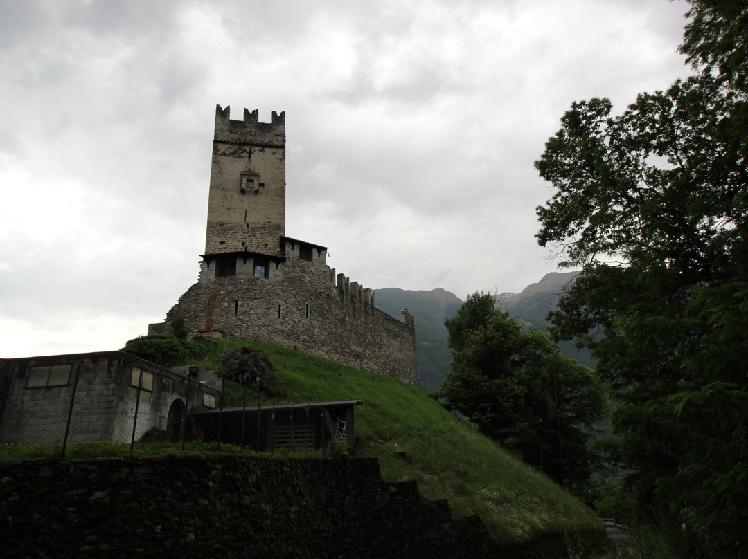 Castello di Pedenale景点图片