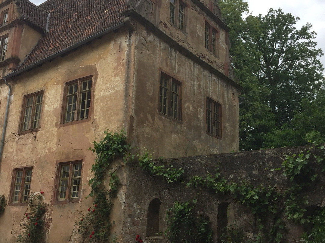 Schloss Furstenau-Michelstadt必去景点