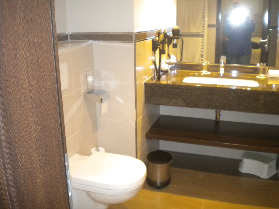 Bomonti Hotel Nuremberg-West主图