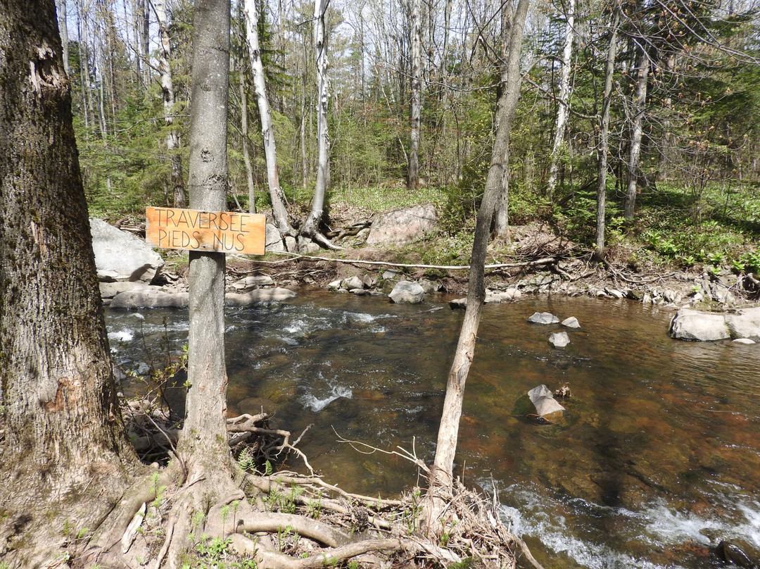 Auberge des Glacis主图