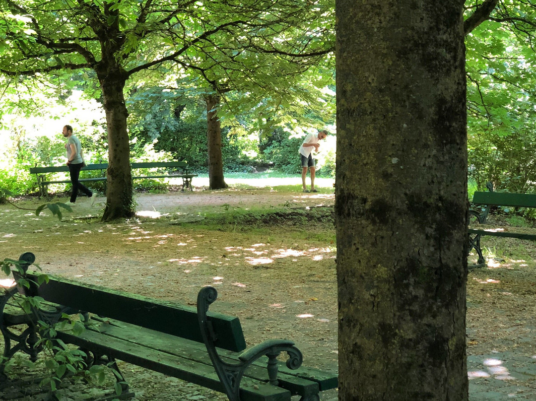 Parc Floral de Bordeaux Lac景点图片