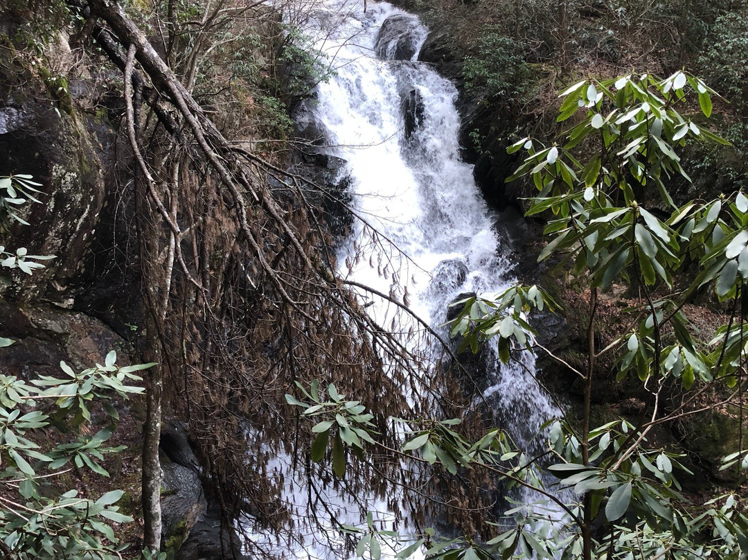 Little Rock Creek Falls景点图片