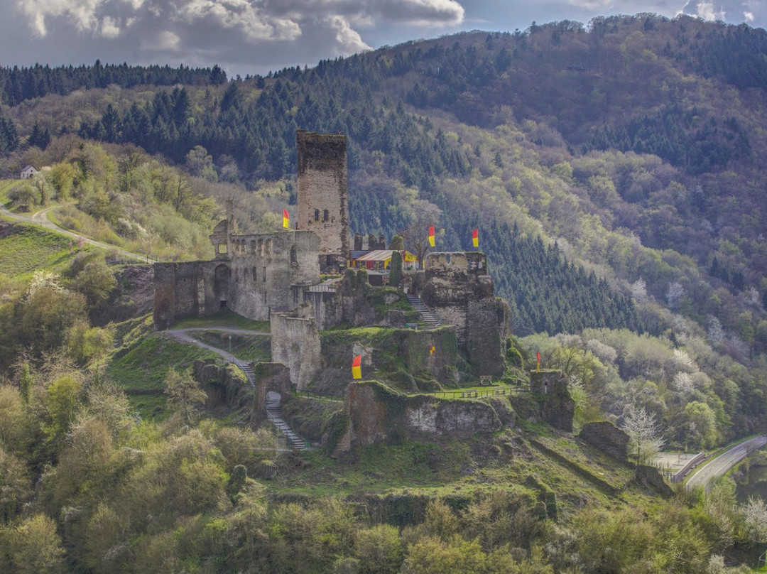 Burg Metternich景点图片