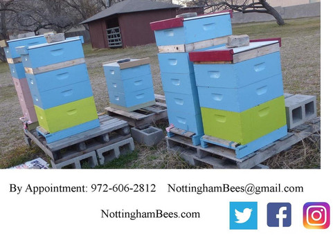 Nottingham Bees-大草原城必去景点