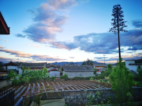 丽江火烈鸟主题客栈（白沙古镇店）主图