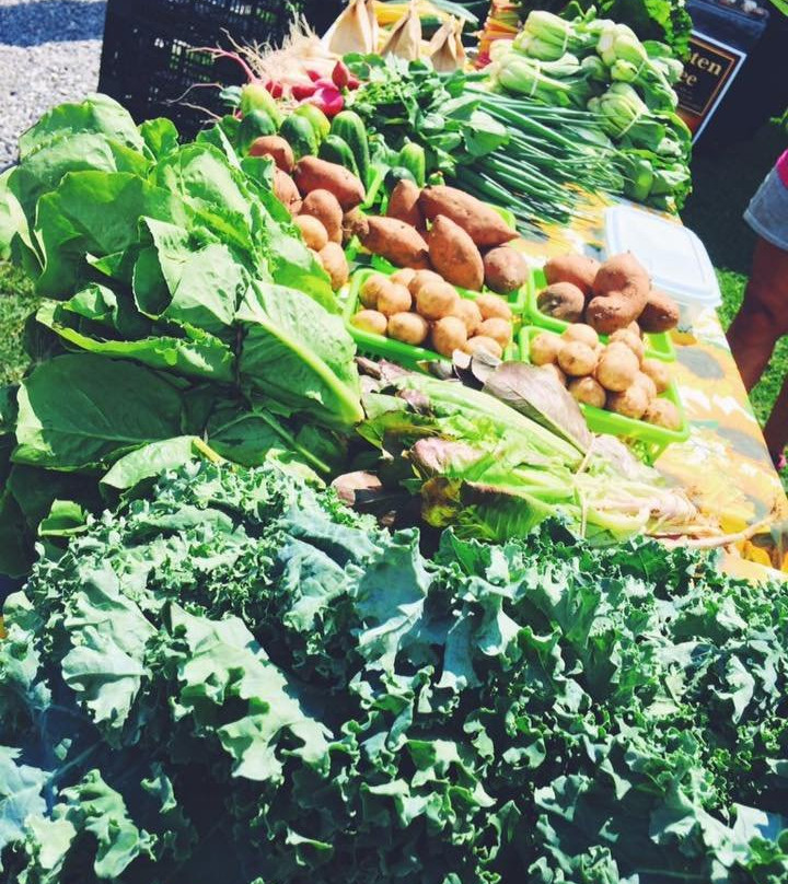 Port Rowan Farmers' Market-Port Rowan必去景点