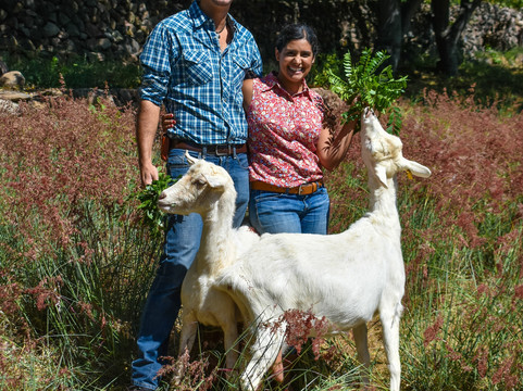 Galo de Allende-Mezcala必去景点