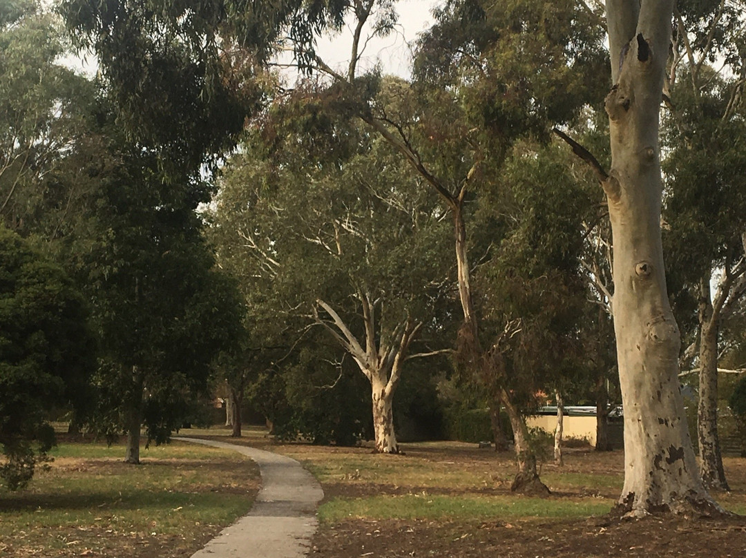 Lorna Wilson Reserve