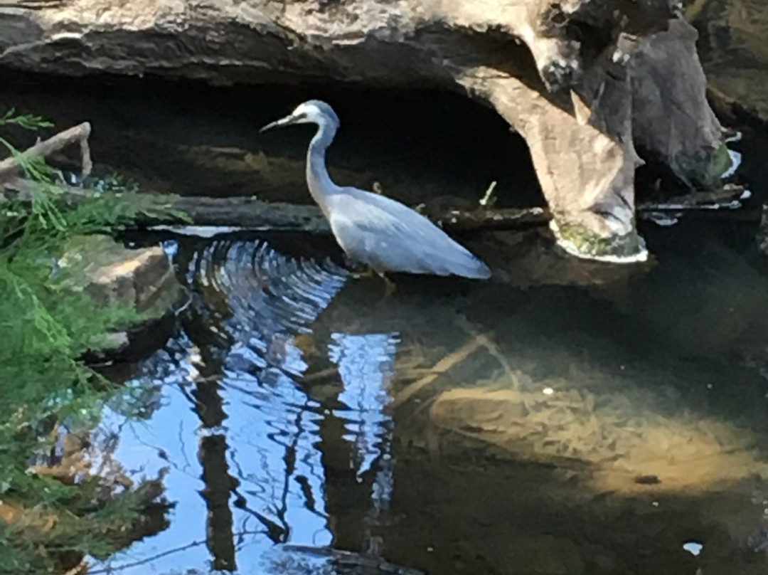Michael Perry Botanic Reserve-Burnside必去景点